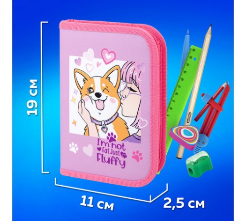 Пенал ПИФАГОР, 1 отделение, полиэстер, 19х13 см, 