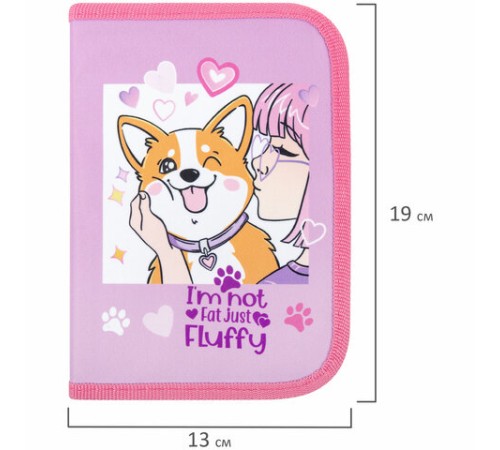 Пенал ПИФАГОР, 1 отделение, полиэстер, 19х13 см, 