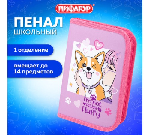 Пенал ПИФАГОР, 1 отделение, полиэстер, 19х13 см, 