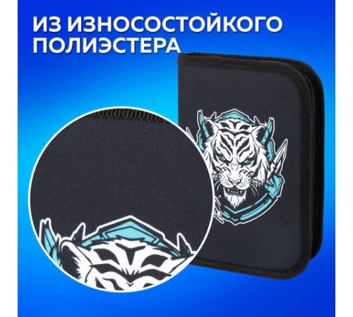 Пенал ПИФАГОР, 1 отделение, полиэстер, 19х13 см, 