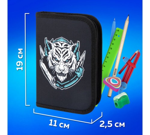 Пенал ПИФАГОР, 1 отделение, полиэстер, 19х13 см, 