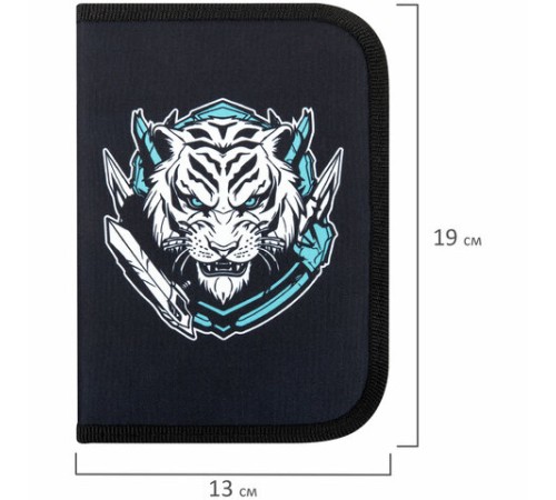 Пенал ПИФАГОР, 1 отделение, полиэстер, 19х13 см, 