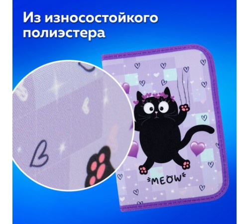 Пенал ПИФАГОР, 1 отделение, 2 откидные планки, полиэстер, 20х14 см, 