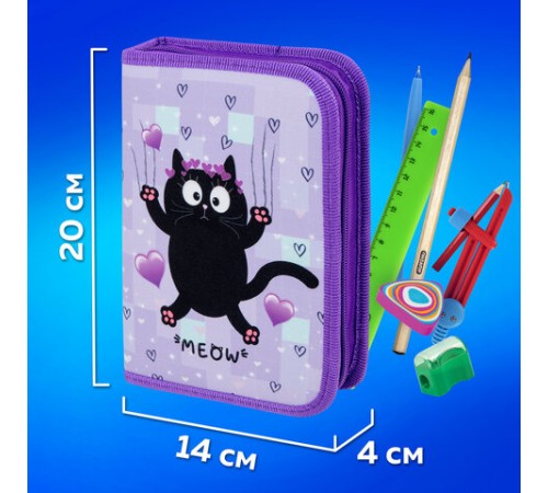 Пенал ПИФАГОР, 1 отделение, 2 откидные планки, полиэстер, 20х14 см, 