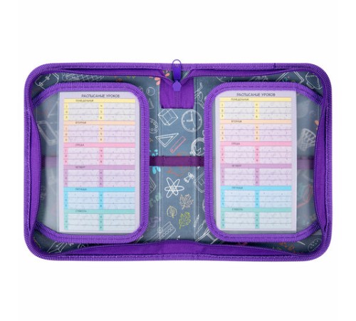 Пенал ПИФАГОР, 1 отделение, 2 откидные планки, полиэстер, 20х14 см, 
