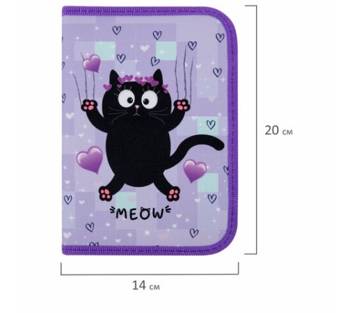 Пенал ПИФАГОР, 1 отделение, 2 откидные планки, полиэстер, 20х14 см, 