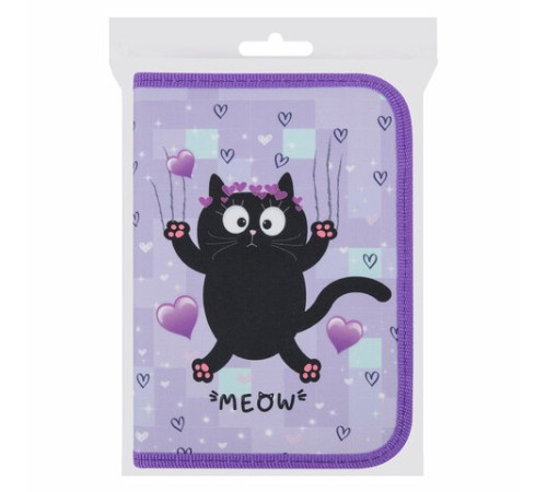 Пенал ПИФАГОР, 1 отделение, 2 откидные планки, полиэстер, 20х14 см, 