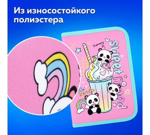 Пенал ПИФАГОР, 1 отделение, 2 откидные планки, полиэстер, 20х14 см, 