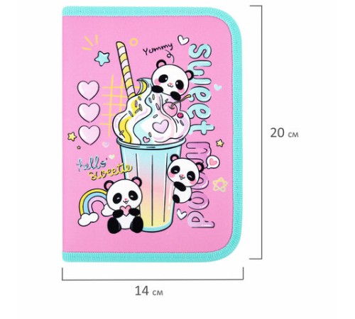 Пенал ПИФАГОР, 1 отделение, 2 откидные планки, полиэстер, 20х14 см, 