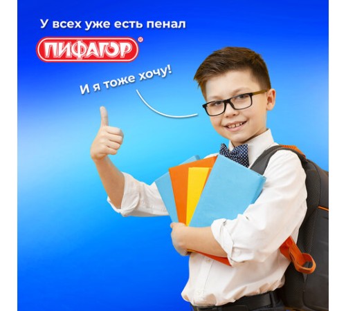 Пенал ПИФАГОР, 1 отделение, 2 откидные планки, полиэстер, 20х14 см, 