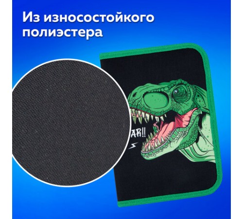 Пенал ПИФАГОР, 1 отделение, 2 откидные планки, полиэстер, 20х14 см, 