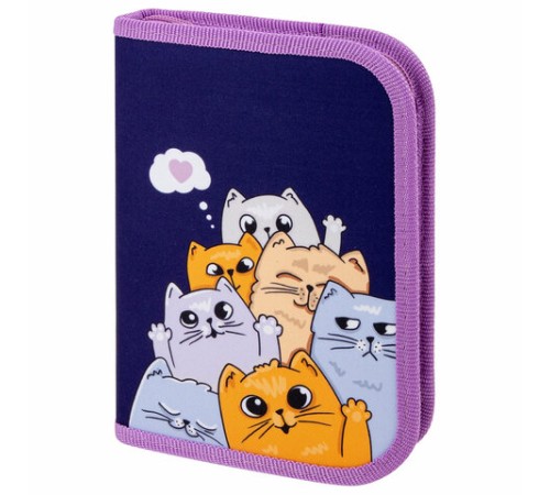 Пенал ПИФАГОР, 1 отделение, 1 откидная планка, полиэстер, 19х13 см, 