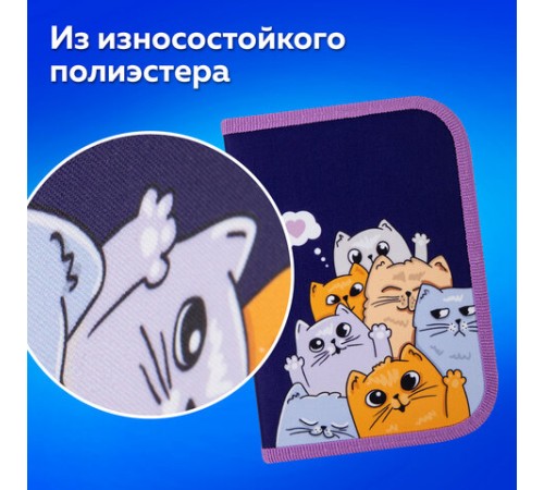 Пенал ПИФАГОР, 1 отделение, 1 откидная планка, полиэстер, 19х13 см, 