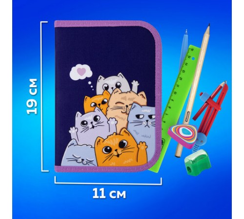 Пенал ПИФАГОР, 1 отделение, 1 откидная планка, полиэстер, 19х13 см, 