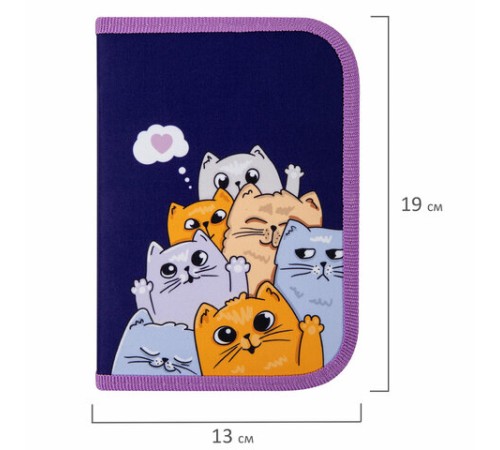 Пенал ПИФАГОР, 1 отделение, 1 откидная планка, полиэстер, 19х13 см, 