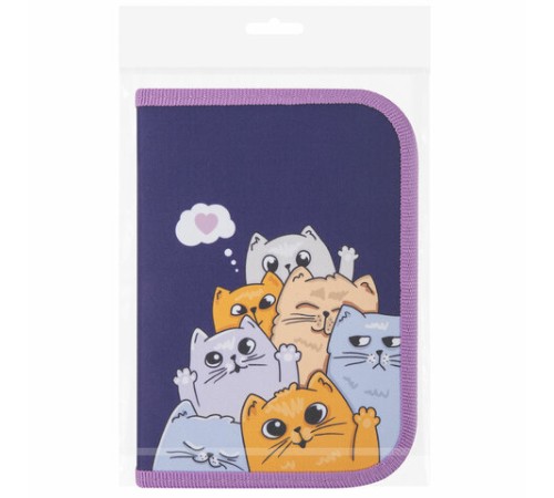 Пенал ПИФАГОР, 1 отделение, 1 откидная планка, полиэстер, 19х13 см, 