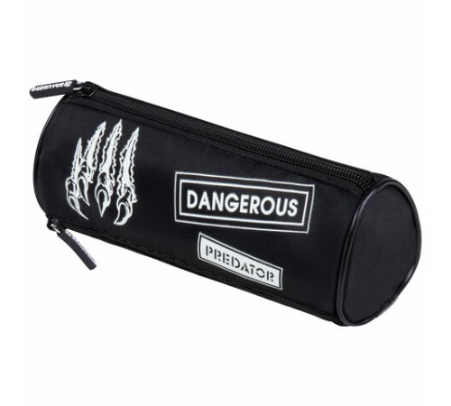 Пенал BRAUBERG, 3 отделения, нейлон, 21х7х7 см, 