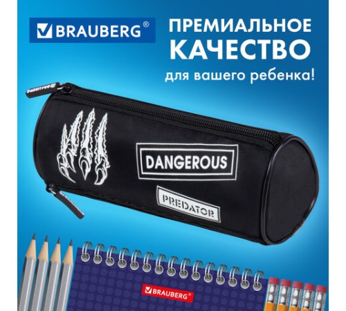 Пенал BRAUBERG, 3 отделения, нейлон, 21х7х7 см, 