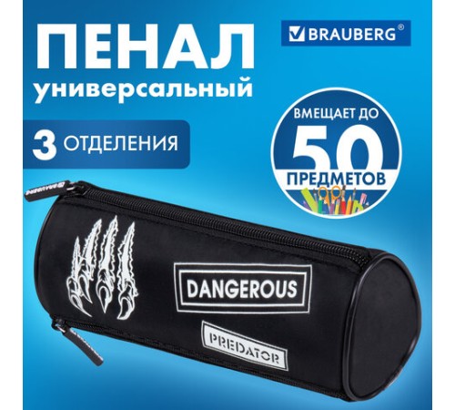 Пенал BRAUBERG, 3 отделения, нейлон, 21х7х7 см, 