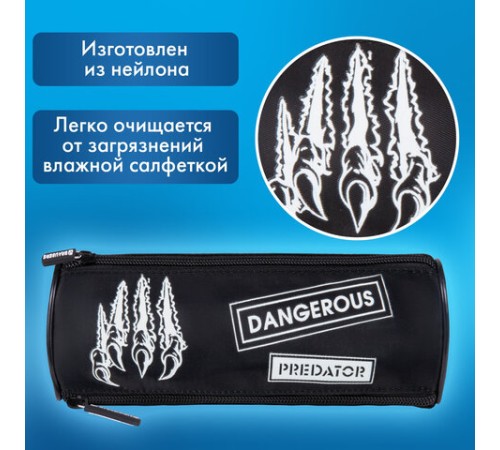 Пенал BRAUBERG, 3 отделения, нейлон, 21х7х7 см, 