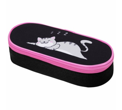 Пенал-футляр BRAUBERG, 1 отделение, органайзер, полиэстер, 22x9х5 см, 