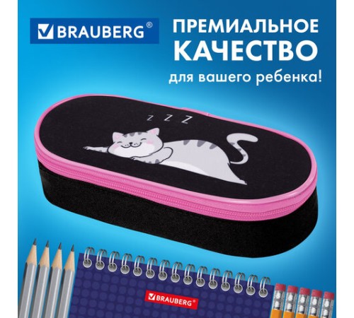 Пенал-футляр BRAUBERG, 1 отделение, органайзер, полиэстер, 22x9х5 см, 