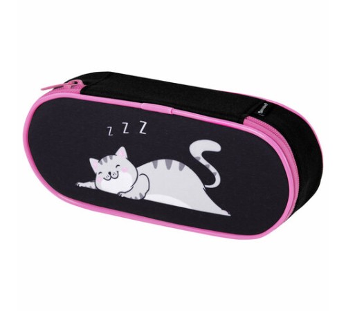 Пенал-футляр BRAUBERG, 1 отделение, органайзер, полиэстер, 22x9х5 см, 