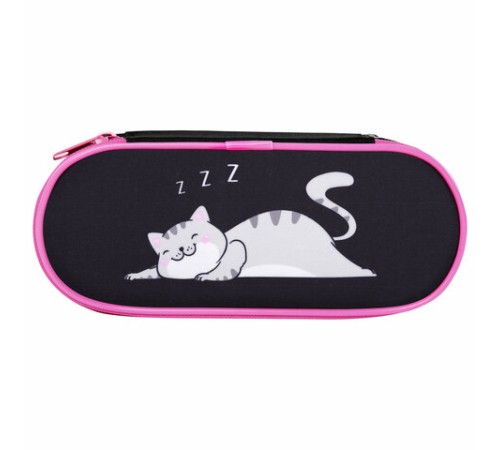 Пенал-футляр BRAUBERG, 1 отделение, органайзер, полиэстер, 22x9х5 см, 