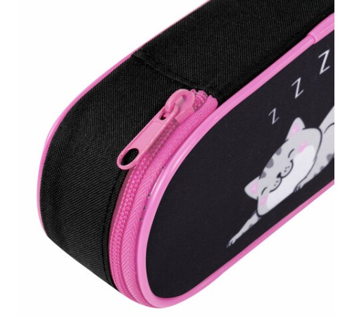 Пенал-футляр BRAUBERG, 1 отделение, органайзер, полиэстер, 22x9х5 см, 