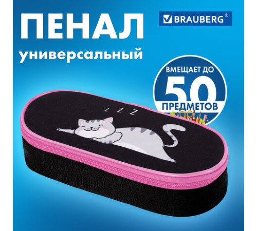Пенал-футляр BRAUBERG, 1 отделение, органайзер, полиэстер, 22x9х5 см, 