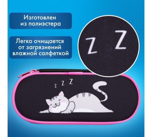 Пенал-футляр BRAUBERG, 1 отделение, органайзер, полиэстер, 22x9х5 см, 