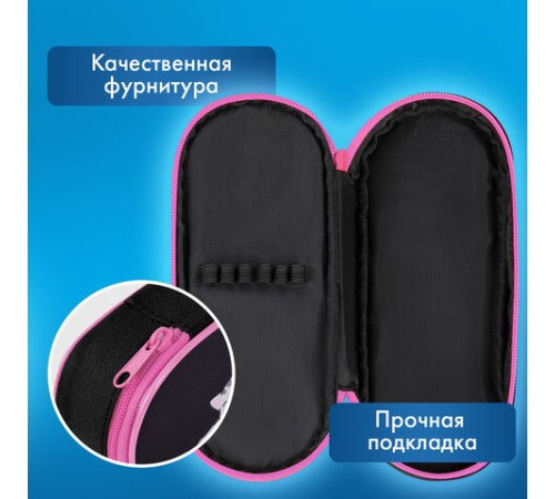 Пенал-футляр BRAUBERG, 1 отделение, органайзер, полиэстер, 22x9х5 см, 