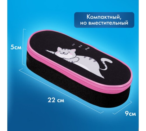 Пенал-футляр BRAUBERG, 1 отделение, органайзер, полиэстер, 22x9х5 см, 