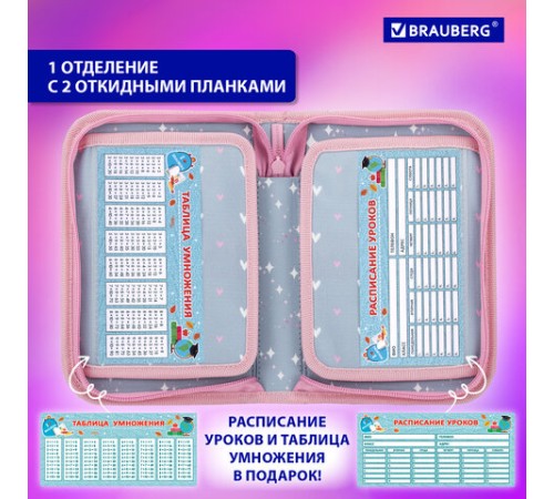 Пенал BRAUBERG, 1 отделение, 2 откидные планки, полиэстер, 21х14 см, 