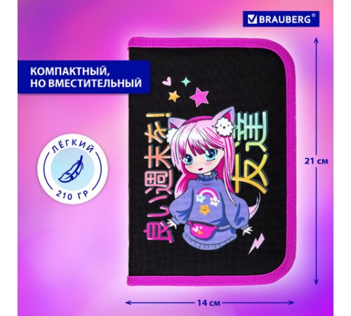 Пенал BRAUBERG, 1 отделение, 1 откидная планка, полиэстер, 21х14 см, 