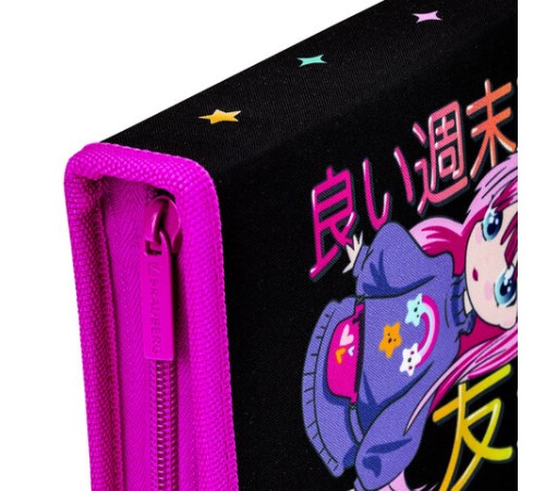 Пенал BRAUBERG, 1 отделение, 1 откидная планка, полиэстер, 21х14 см, 