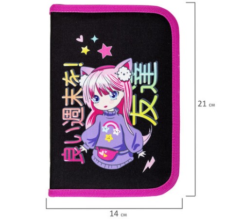 Пенал BRAUBERG, 1 отделение, 1 откидная планка, полиэстер, 21х14 см, 