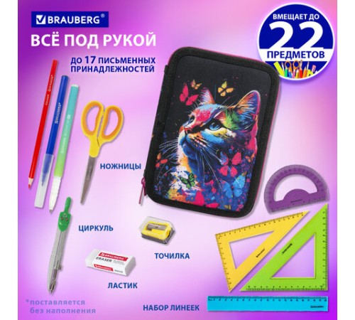 Пенал BRAUBERG, 2 отделения, полиэстер, 21х14 см, 