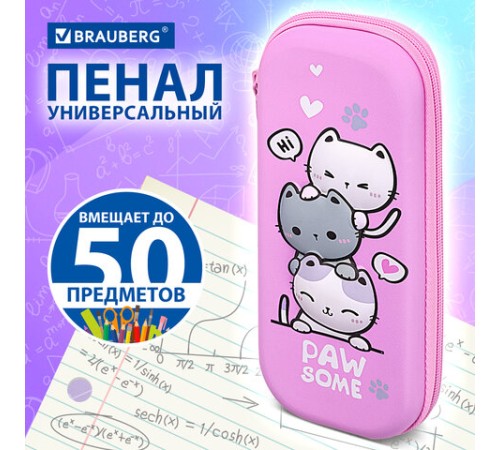 Пенал BRAUBERG, 1 отделение, 1 откидная планка, EVA, 22х10х5 см, 
