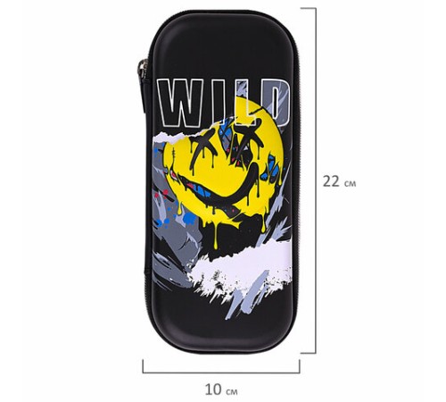 Пенал BRAUBERG, 1 отделение, 1 откидная планка, EVA, 22х10х5 см, 