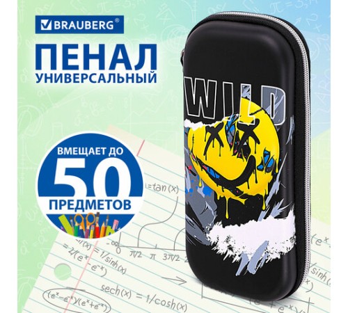 Пенал BRAUBERG, 1 отделение, 1 откидная планка, EVA, 22х10х5 см, 