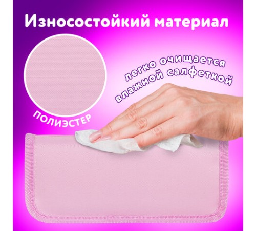 Пенал мягкий ЮНЛАНДИЯ, 2 отделения, полиэстер, 