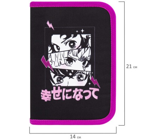 Пенал BRAUBERG с наполнением, 1 отделение, 1 откидная планка, 24 предмета, 21х14 см, 