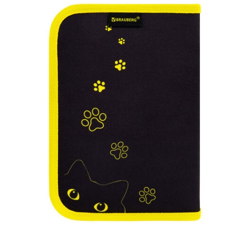 Пенал BRAUBERG с наполнением, 1 отделение, 1 откидная планка, 24 предмета, 21х14 см, 