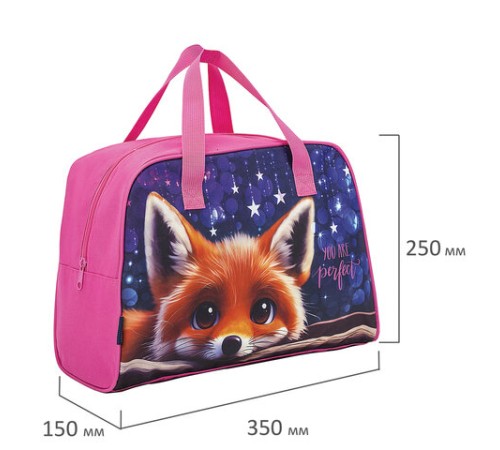 Сумка для занятий BRAUBERG с ручками, 35x25x15 см, 