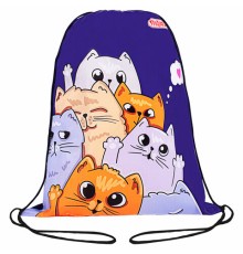 Мешок для обуви ПИФАГОР, 1 отделение, 42х34 см, 