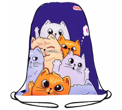 Мешок для обуви ПИФАГОР, 1 отделение, 42х34 см, 