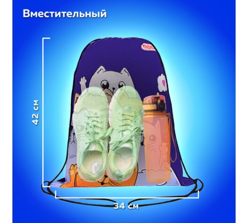 Мешок для обуви ПИФАГОР, 1 отделение, 42х34 см, 