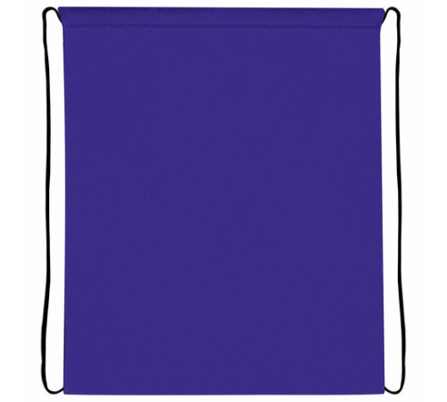 Мешок для обуви ПИФАГОР, 1 отделение, 42х34 см, 