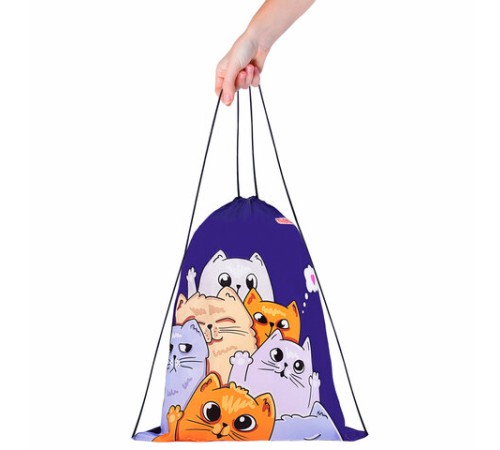 Мешок для обуви ПИФАГОР, 1 отделение, 42х34 см, 